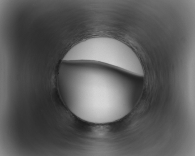 X0000089940465200706290819