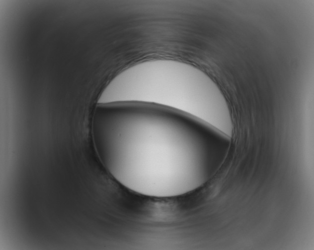 X0000089940466200706290819