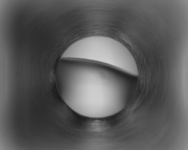X0000089940467200706290819