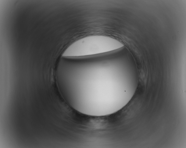 X0000089940470200706290819