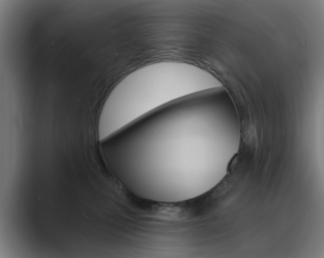 X0000089940471200706290819