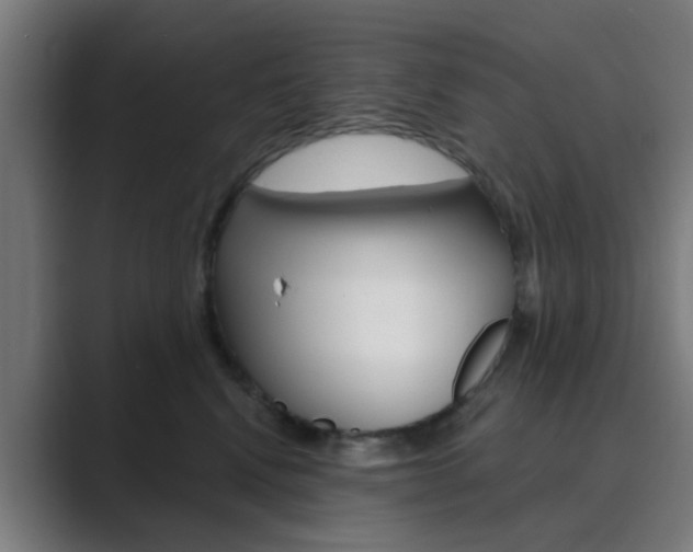X0000089940472200706290819