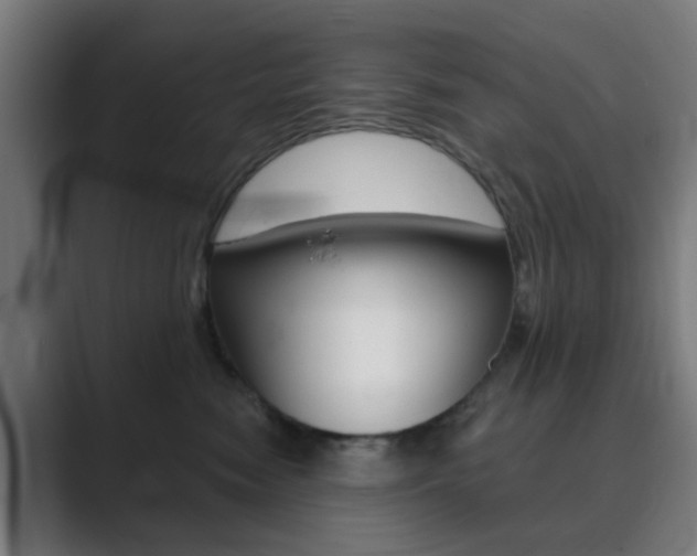 X0000089940474200706290819