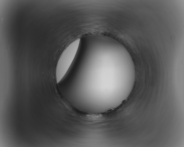X0000089940480200706290819