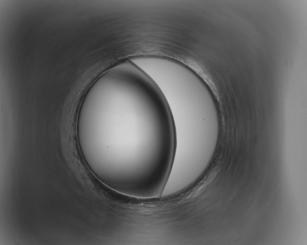 X0000089940481200706290818