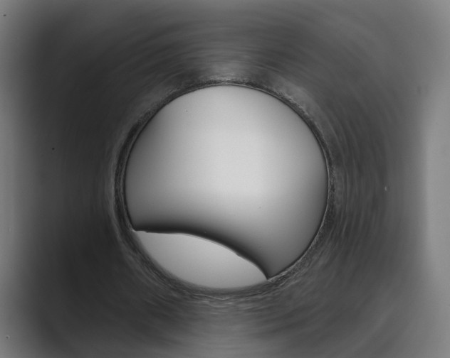 X0000089940482200706290818