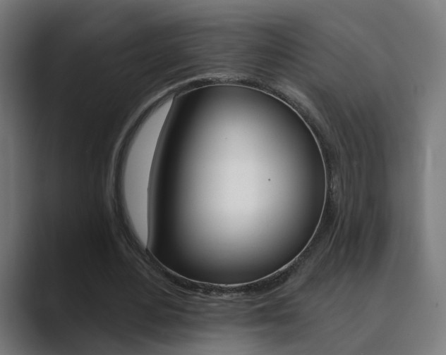 X0000089940484200706290818