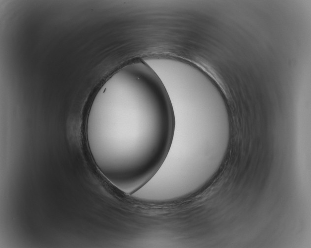 X0000089940485200706290818