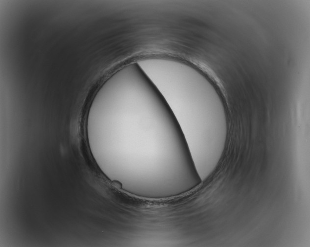 X0000089940487200706290818