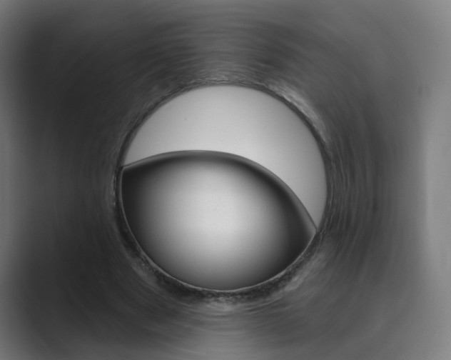 X0000089940489200706290818