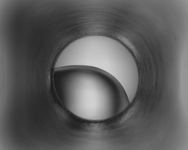 X0000089940493200706290818