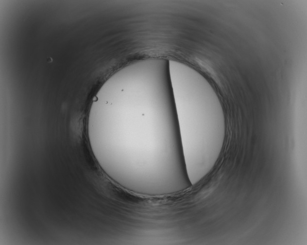 X0000089940495200706290818