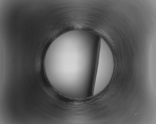 X0000089940496200706290818