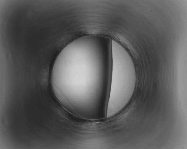 X0000089940497200706290818