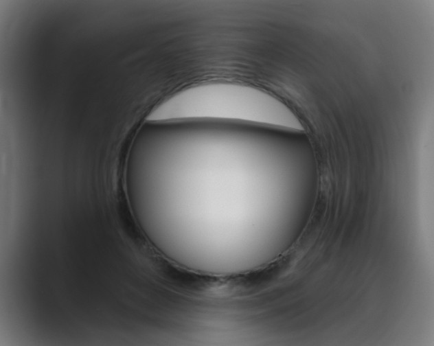 X0000089940504200706290818