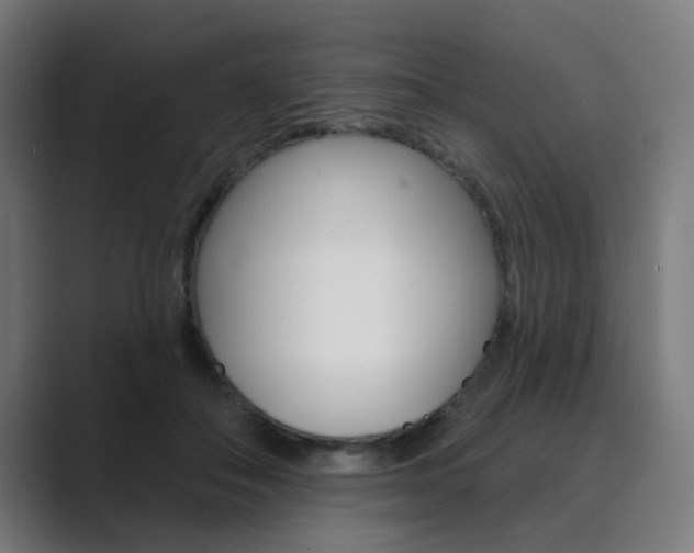 X0000089940506200706290818