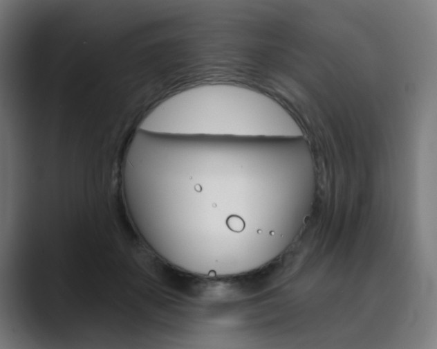 X0000089940507200706290818