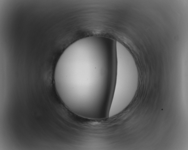 X0000089940509200706290818