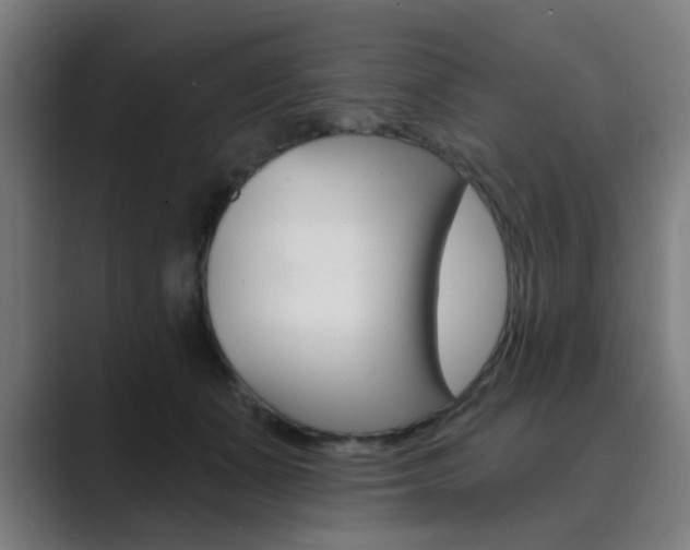 X0000089940511200706290818