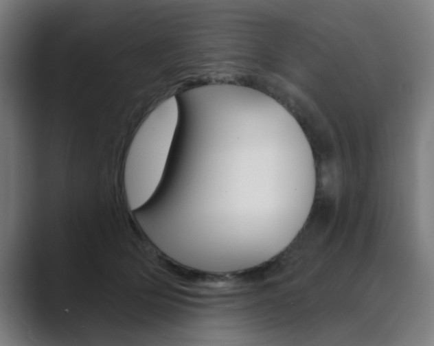 X0000089940514200706290818