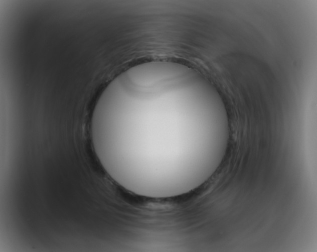 X0000089940515200706290818