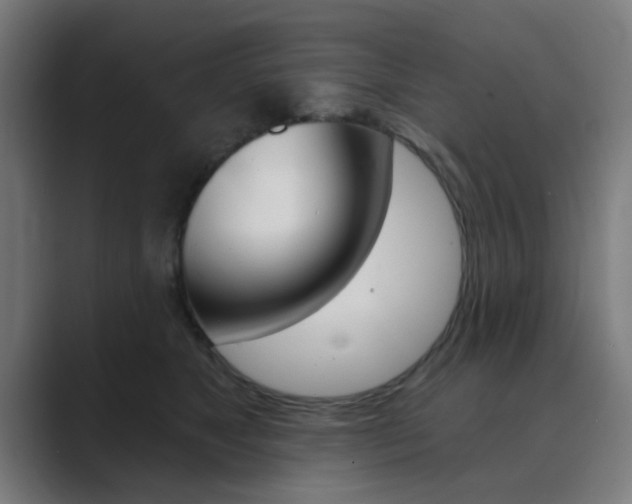 X0000089940517200706290818