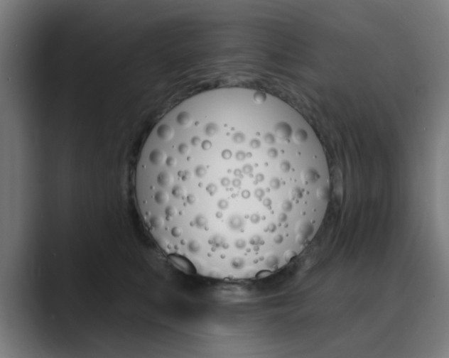 X0000089940519200706290818