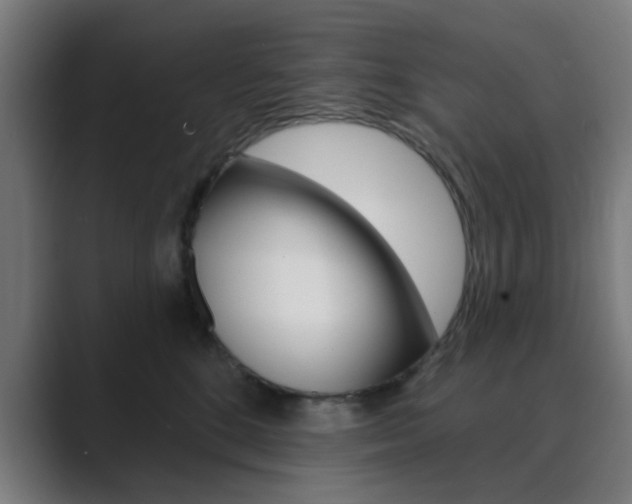 X0000089940520200706290818