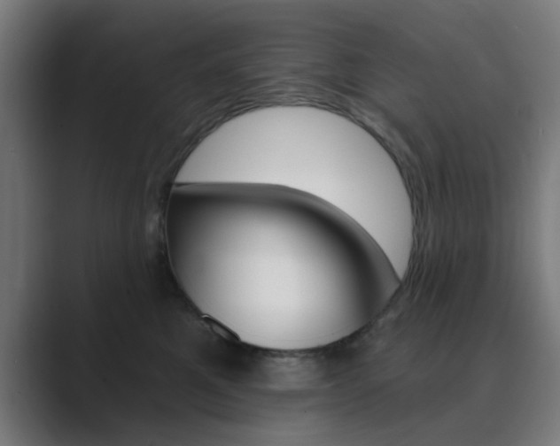 X0000089940521200706290818
