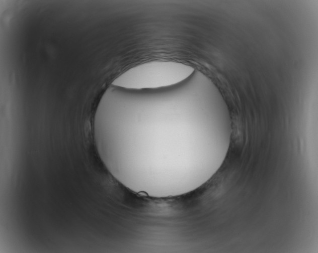 X0000089940523200706290818