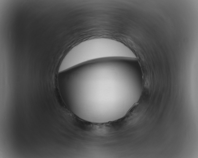X0000089940524200706290818