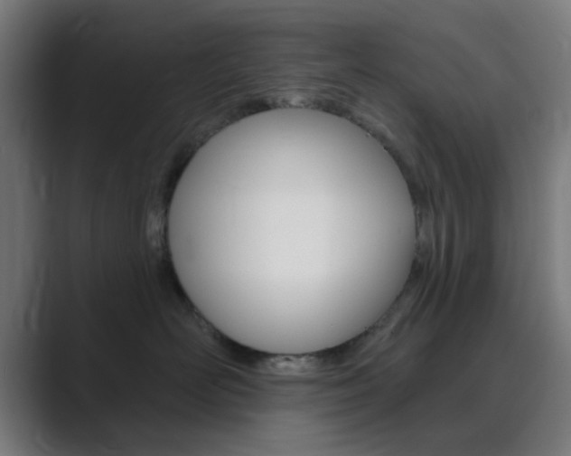 X0000089940526200706290818