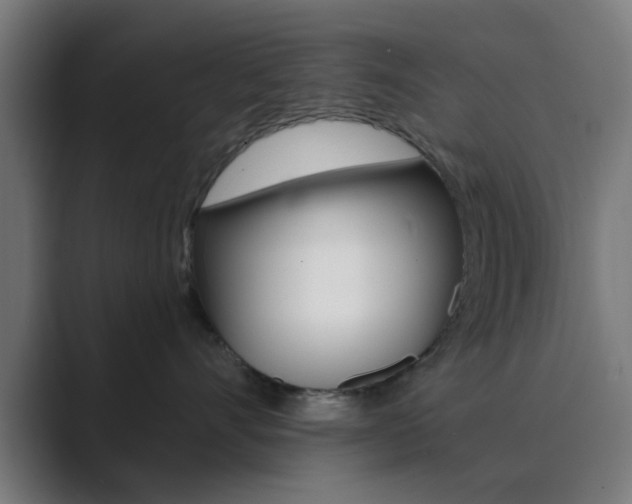 X0000089940528200706290818