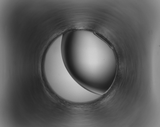 X0000089940530200706290817