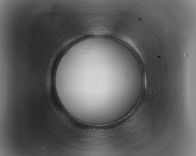 X0000089940531200706290817