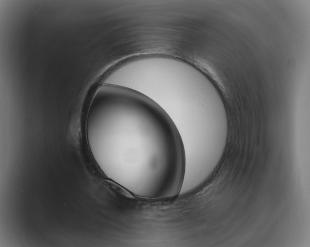 X0000089940532200706290817