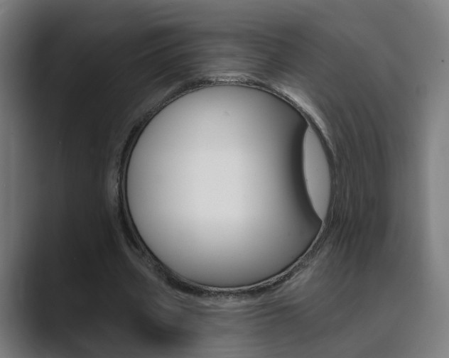 X0000089940533200706290817