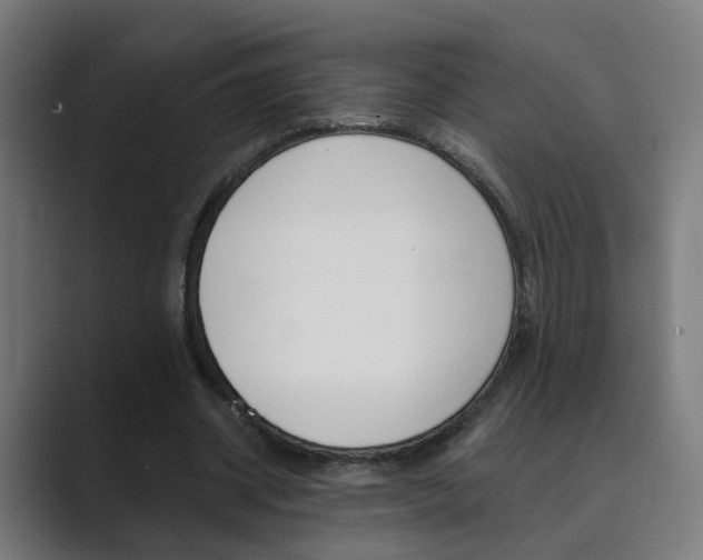 X0000089940534200706290817