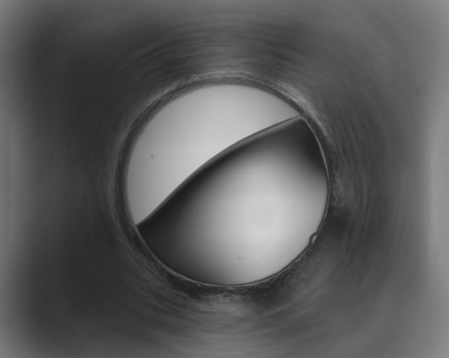 X0000089940535200706290817