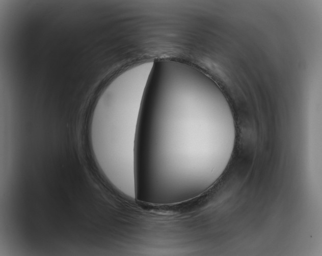 X0000089940539200706290817