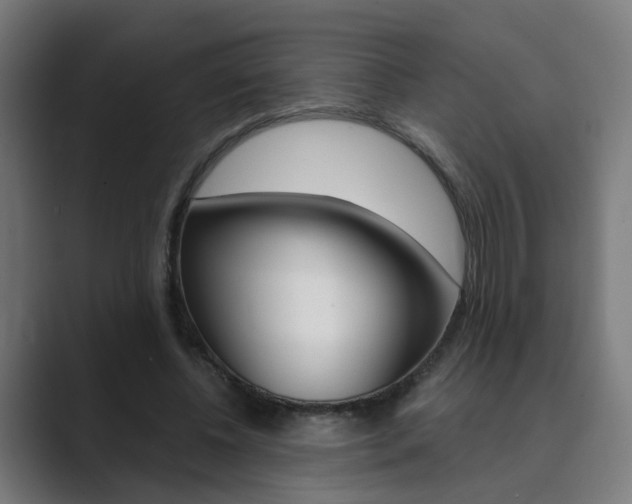 X0000089940540200706290817