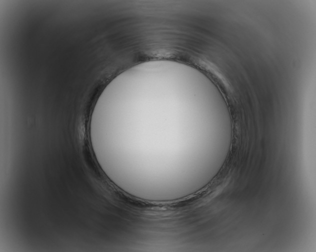 X0000089940541200706290817