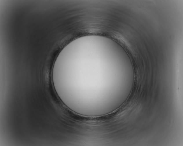 X0000089940542200706290817