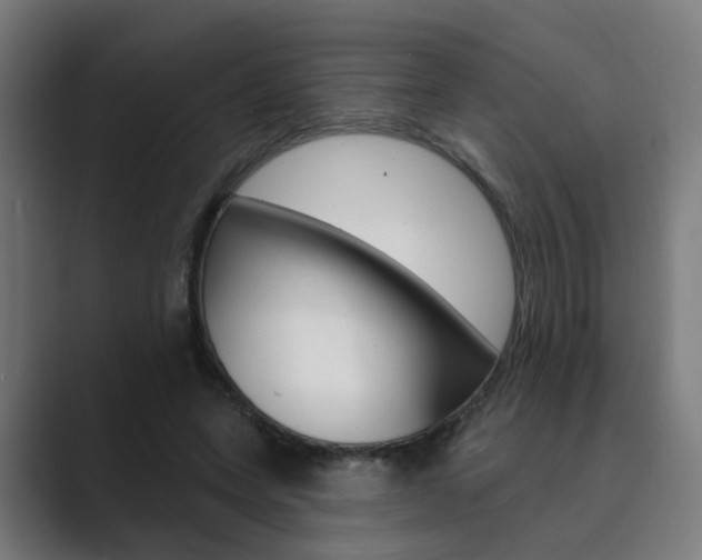 X0000089940543200706290817