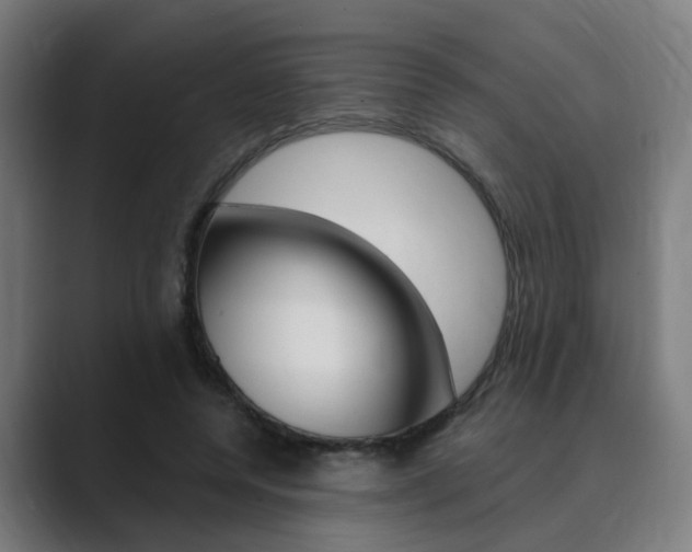 X0000089940544200706290817
