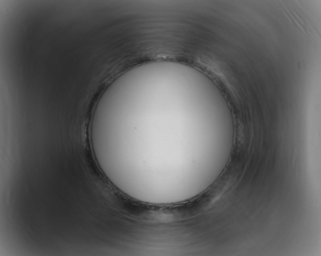 X0000089940545200706290817