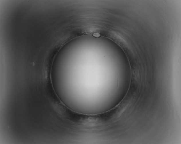X0000089940546200706290817
