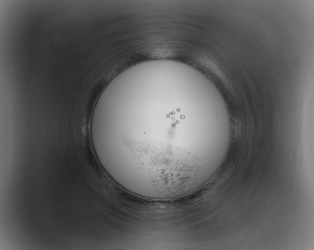 X0000089940549200706290817