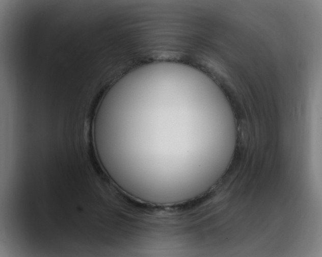 X0000089940550200706290817