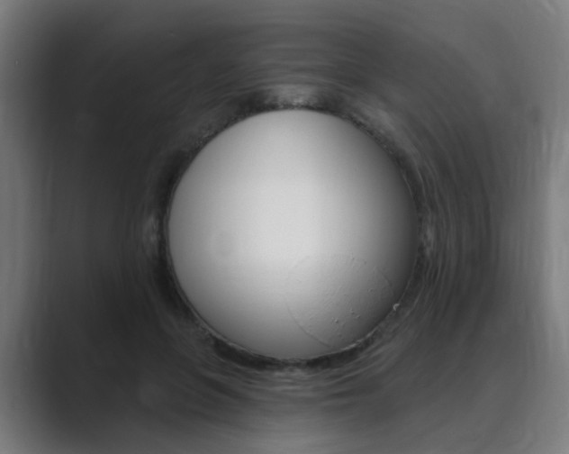 X0000089940551200706290817
